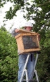 einen Bienenschwarm fangen