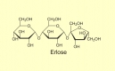 Dreifachzucker (Trisaccharide)