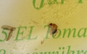 Fremdkörper im Honig