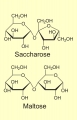Zweifachzucker (Disaccharide)