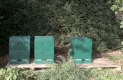 Bienenstand und Platzwahl